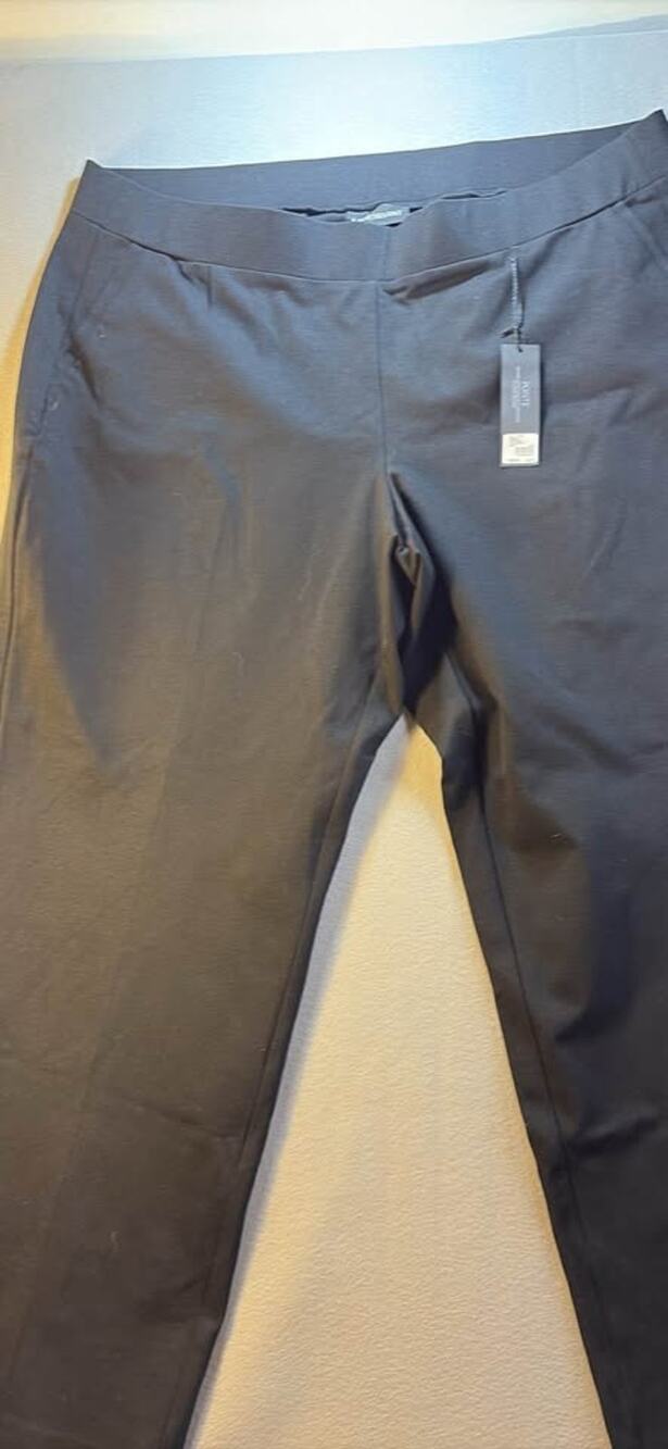 Lane Bryant Ponte Pants